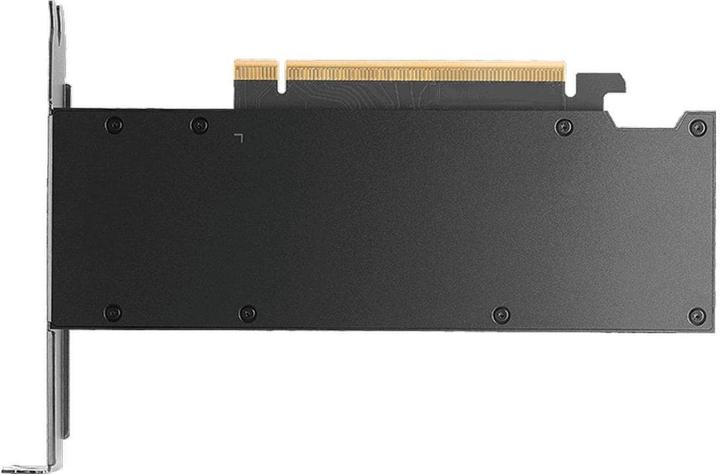 Productafbeelding PNY NVIDIA RTX PRO 2000 Blackwell 16GB GDDR6 ECC 4xMini DP (16 GB)