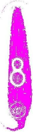Actual product image Womanizer Starlet 3