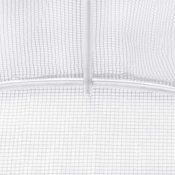 Actual product image vidaXL Gewächshaus