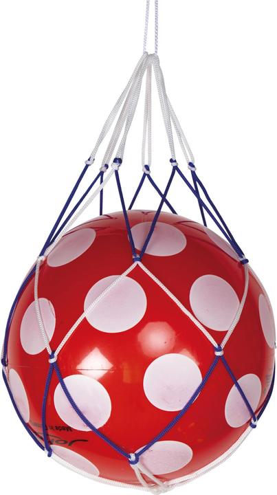 Actual product image John Ball net for 1 ball