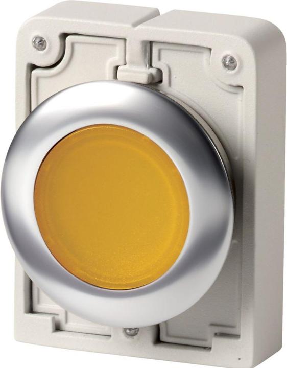 Actual product image Eaton Illuminated pushbutton RMQ-Titan