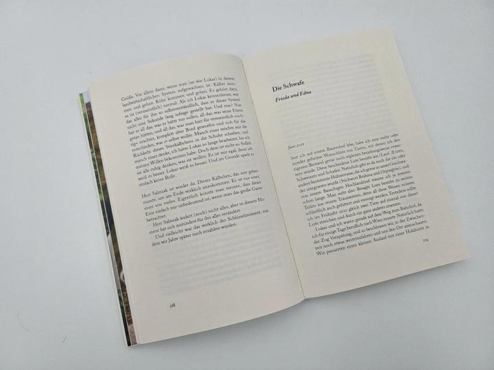Produktbild Hin und weg (Deutsch, Madeleine Becker, 2024)