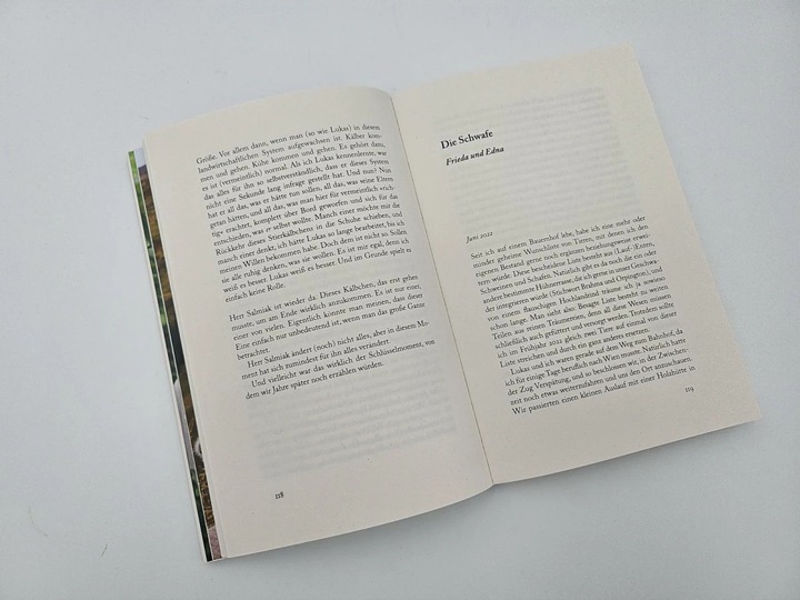 Produktbild Hin und weg (Deutsch, Madeleine Becker, 2024)