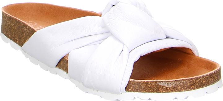 Verbenas Rainbow Blanco