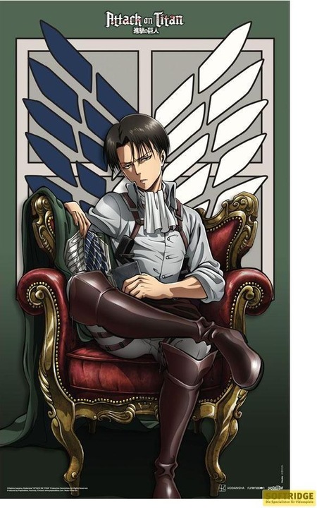 Produktbild POPbuddies Attack on Titan poster tissu Levi 70 x 120 cm