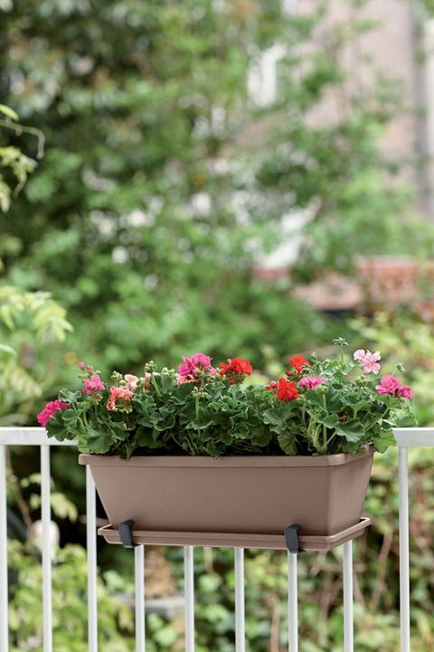 Actual product image Elho Barcelona (20 cm)