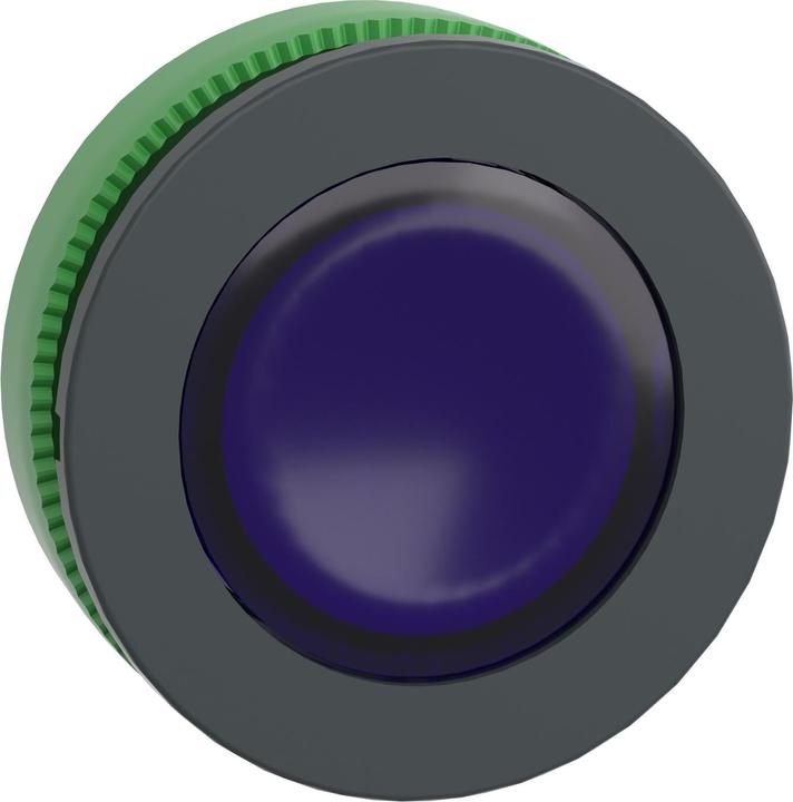 Produktbild Schneider Electric Flush Blue Ill Pushbutton Head
