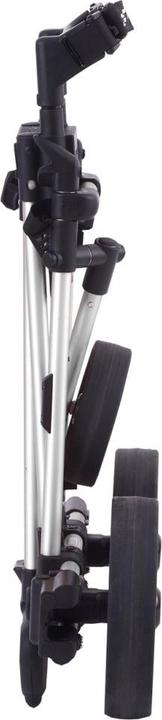 Produktbild FlatCat Ahead II Li-Fe silver