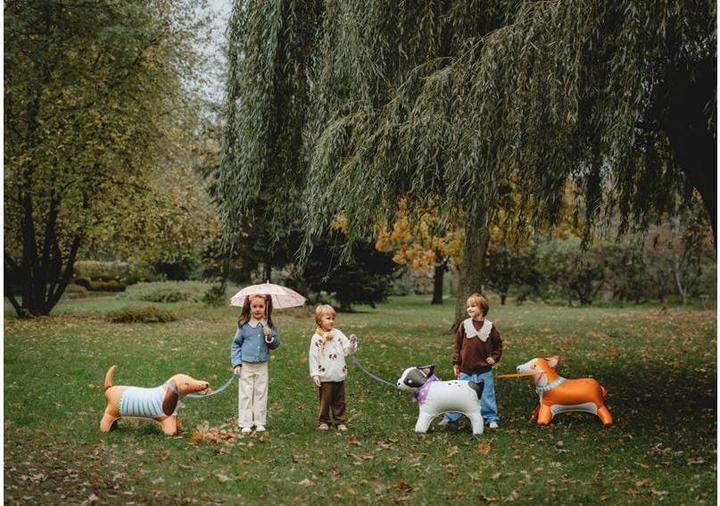 Actual product image Partydeco Standing dachshund foil balloon (1x)