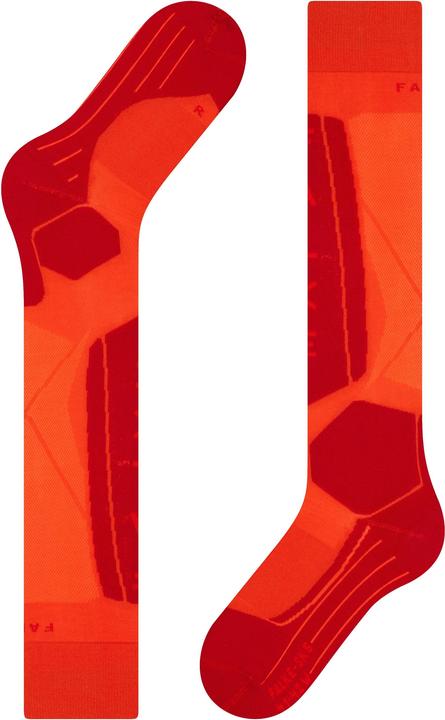 Actual product image Falke SK5 Women (39 - 40)