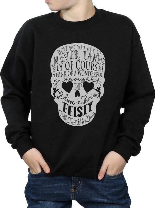 Produktbild Disney Tinker Bell Skull Sweatshirt Jungen (128)