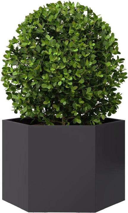 Produktbild vidaXL Pflanzkübel