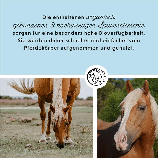 Actual product image Annimally Mineralfutter Pellets Organisch