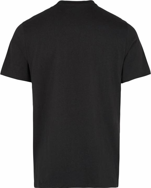 Actual product image O'Neill Small Logo T-Shirt (M)