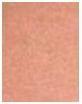 Actual product image MAC Cosmetics Powder Blush (Sunbasque)
