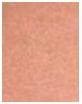 Actual product image MAC Cosmetics Powder Blush (Sunbasque)