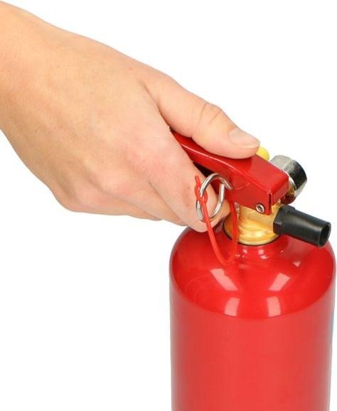 Actual product image Alecto BP-1 (A)