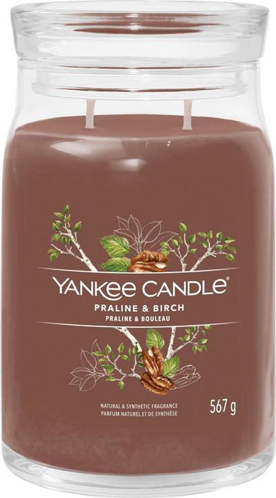 Actual product image Yankee Candle Scented Candle Praline & Birch Signature Large Jar