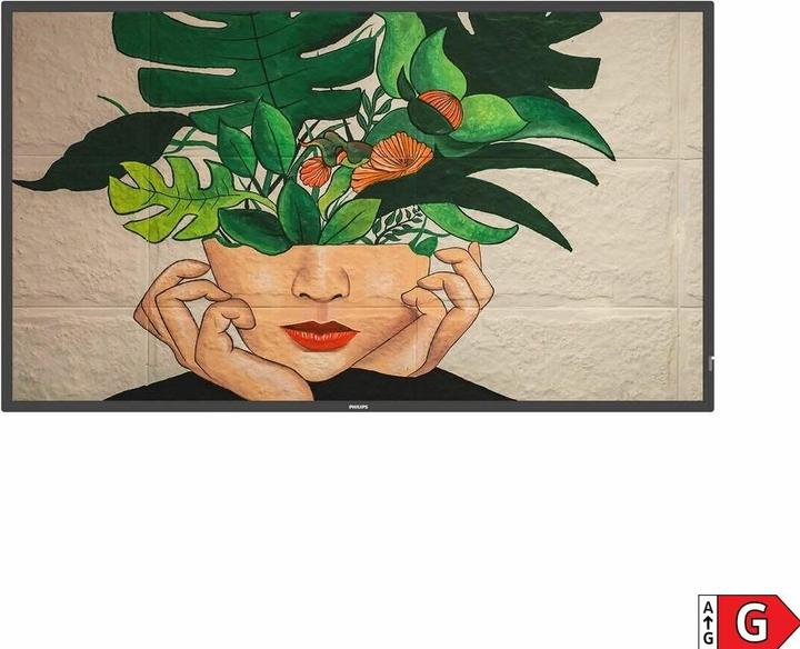 Image du produit Philips D-Line 43BDL4511D 24/7/UHD/450cd (3840 x 2160 pixels, 43")