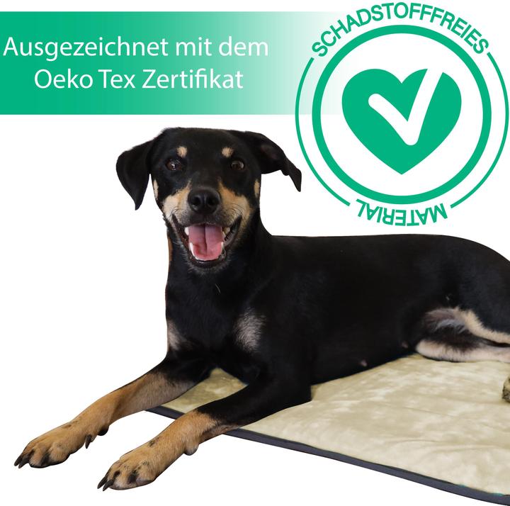 Actual product image Aspero Dog blanket Lund (Dog)