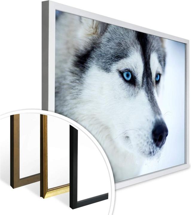 Image du produit Trenddeko Des yeux bleus glacés (80 x 60 cm)