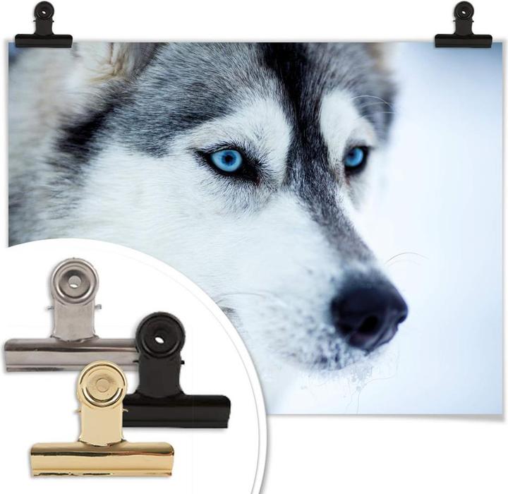 Image du produit Trenddeko Des yeux bleus glacés (80 x 60 cm)