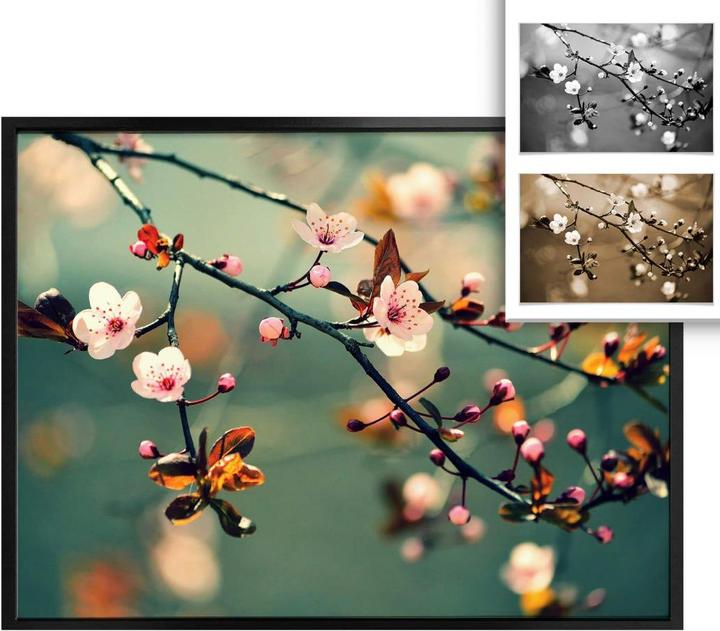 Immagine prodotto Trenddeko Risveglio della primavera (80 x 60 cm)