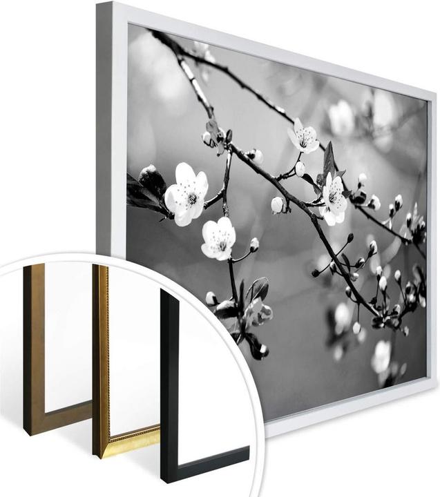 Immagine prodotto Trenddeko Risveglio della primavera (80 x 60 cm)