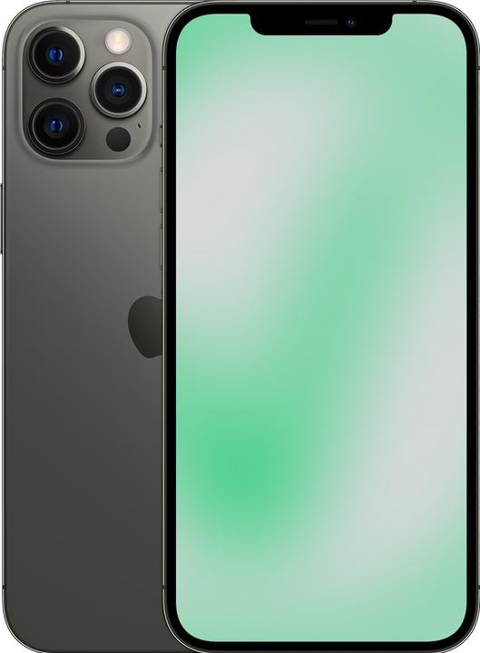 Revendo iPhone 12 Pro Max (256 GB, Graphite, 6.10", 12 Mpx, SIM + eSIM, D / Akzeptabel)