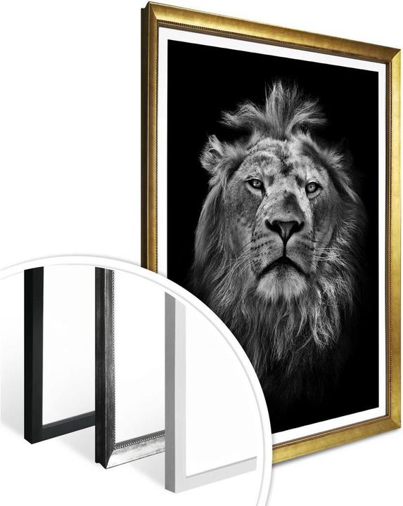 Immagine prodotto Trenddeko Leone (30 x 40 cm)