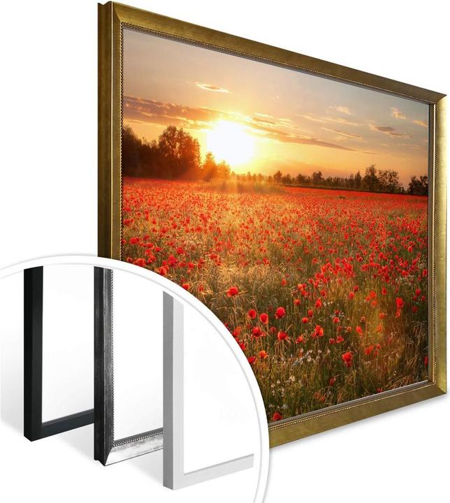 Actual product image Trenddeko Poppy field in sunset (50 x 60 cm)