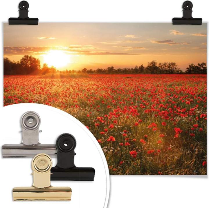 Actual product image Trenddeko Poppy field in sunset (50 x 60 cm)