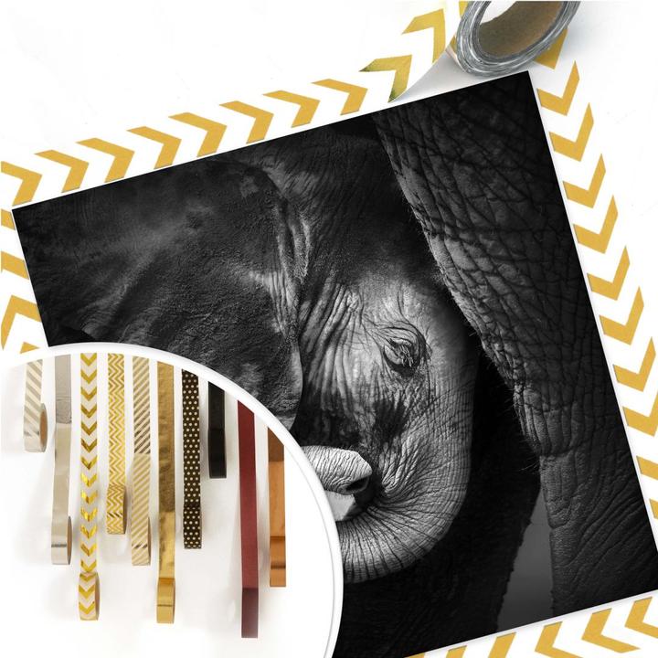 Image du produit Trenddeko Le bébé éléphant (40 x 40 cm)