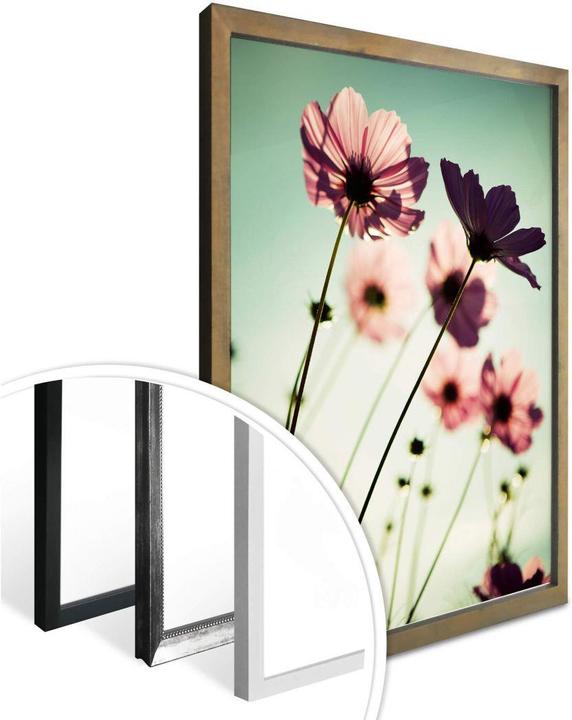 Image du produit Trenddeko Cosmos roses (60 x 80 cm)