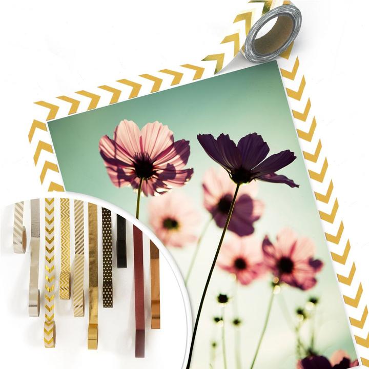 Image du produit Trenddeko Cosmos roses (60 x 80 cm)