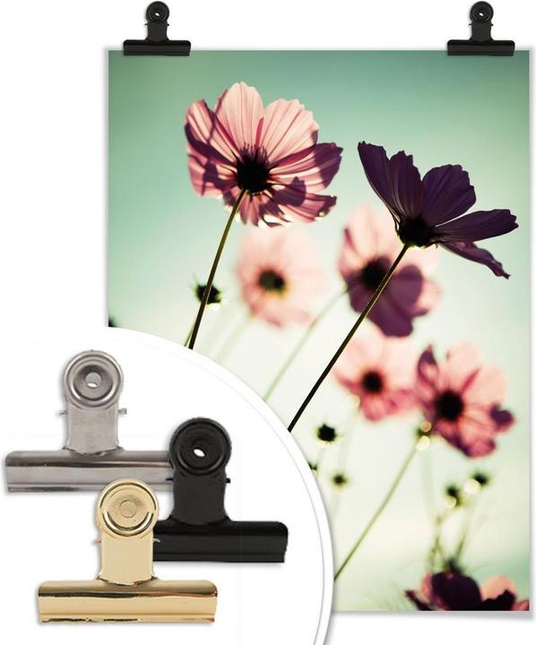 Image du produit Trenddeko Cosmos roses (60 x 80 cm)