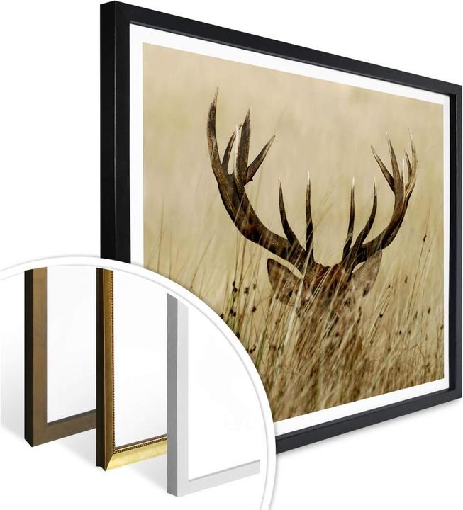 Produktbild Trenddeko Wachsamer Hirsch (60 x 50 cm)