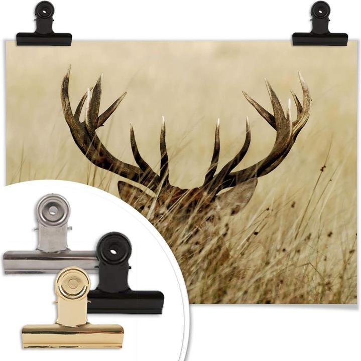 Produktbild Trenddeko Wachsamer Hirsch (60 x 50 cm)