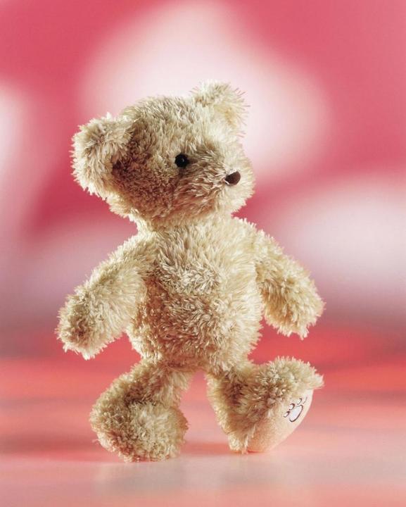 Produktbild Schaffer Teddy Luca (26 cm)