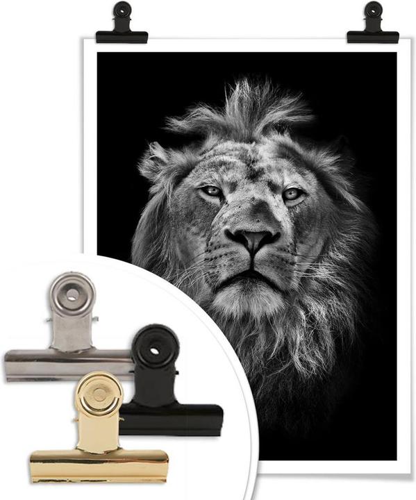 Immagine prodotto Trenddeko Leone (30 x 40 cm)