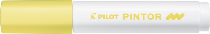 Actual product image Pilot Pintor fine pastel