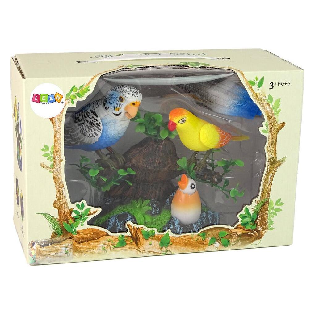Lean Toys Singende, sich bewegende Papageien auf dem Baum (37990976)