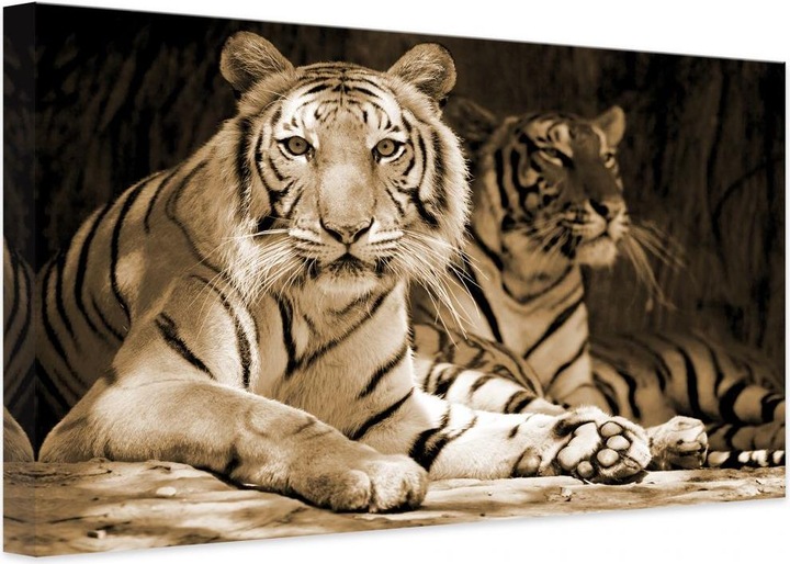 Immagine prodotto Trenddeko Due tigri del re (180 x 120 cm)