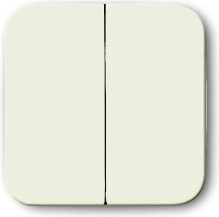 Actual product image Busch-Jaeger Rocker