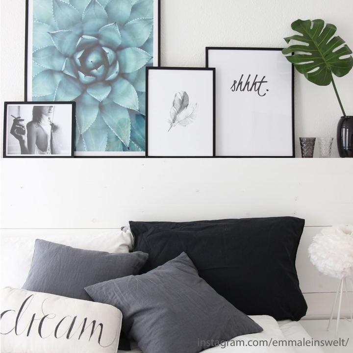 Image du produit Trenddeko plumes (40 x 50 cm)