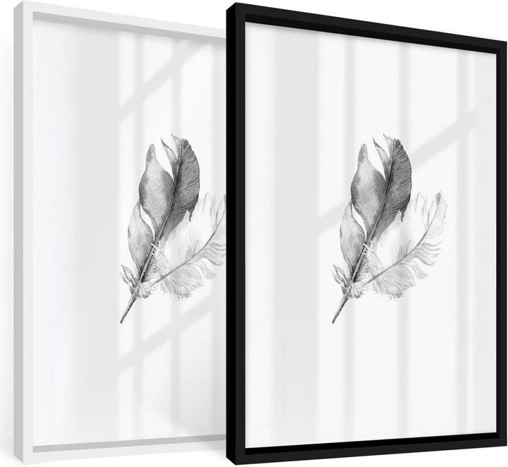 Image du produit Trenddeko plumes (40 x 50 cm)