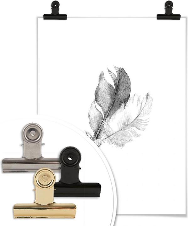 Image du produit Trenddeko plumes (40 x 50 cm)