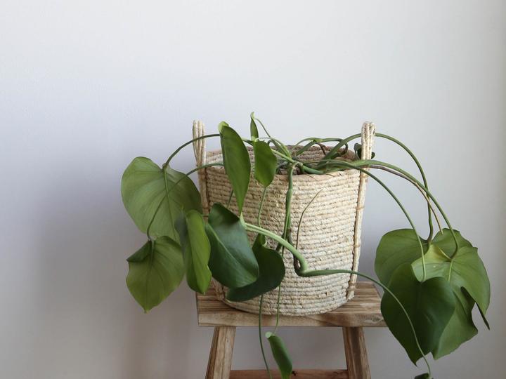 Actual product image Esmée Deko