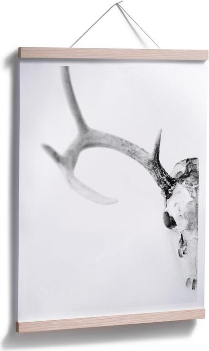 Image du produit Trenddeko Crâne de cerf (40 x 50 cm)