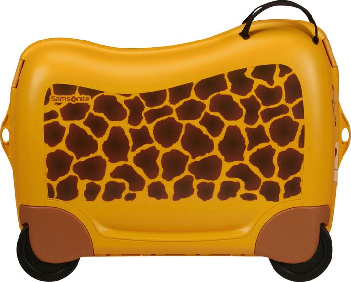Actual product image Samsonite Dream Rider (30 l)